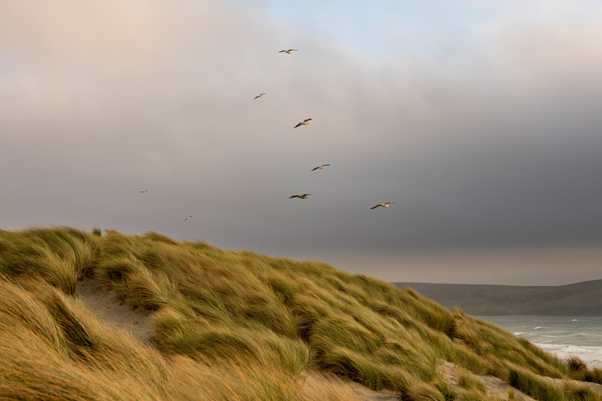 01 Dillon Beach 105957
