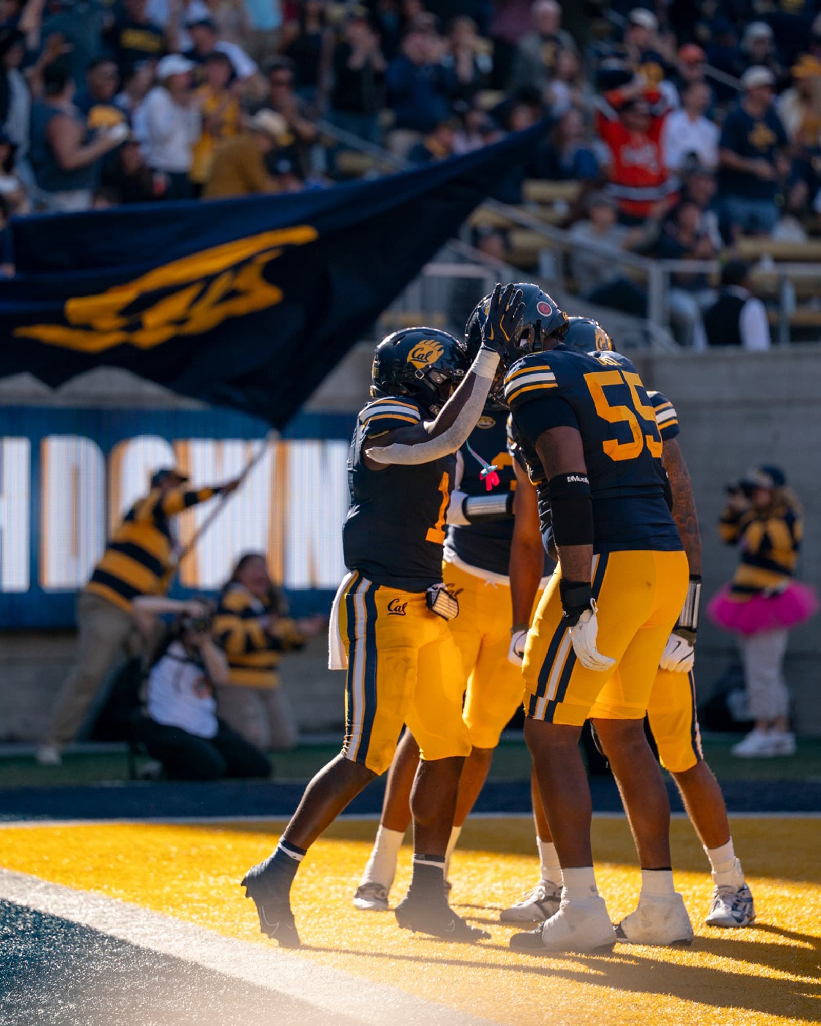 Cal Bears FB vs Virginia 903069 ImageResizer
