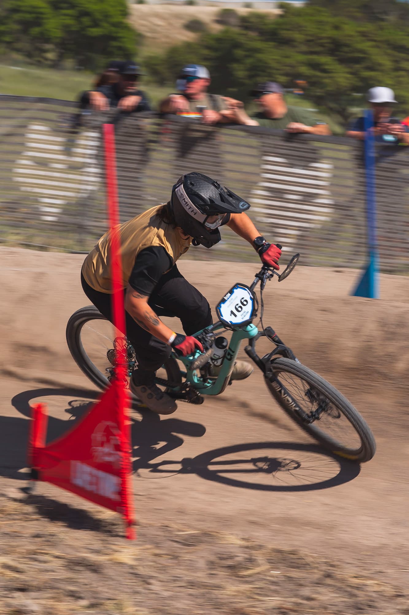 SeaOtter2024 07736